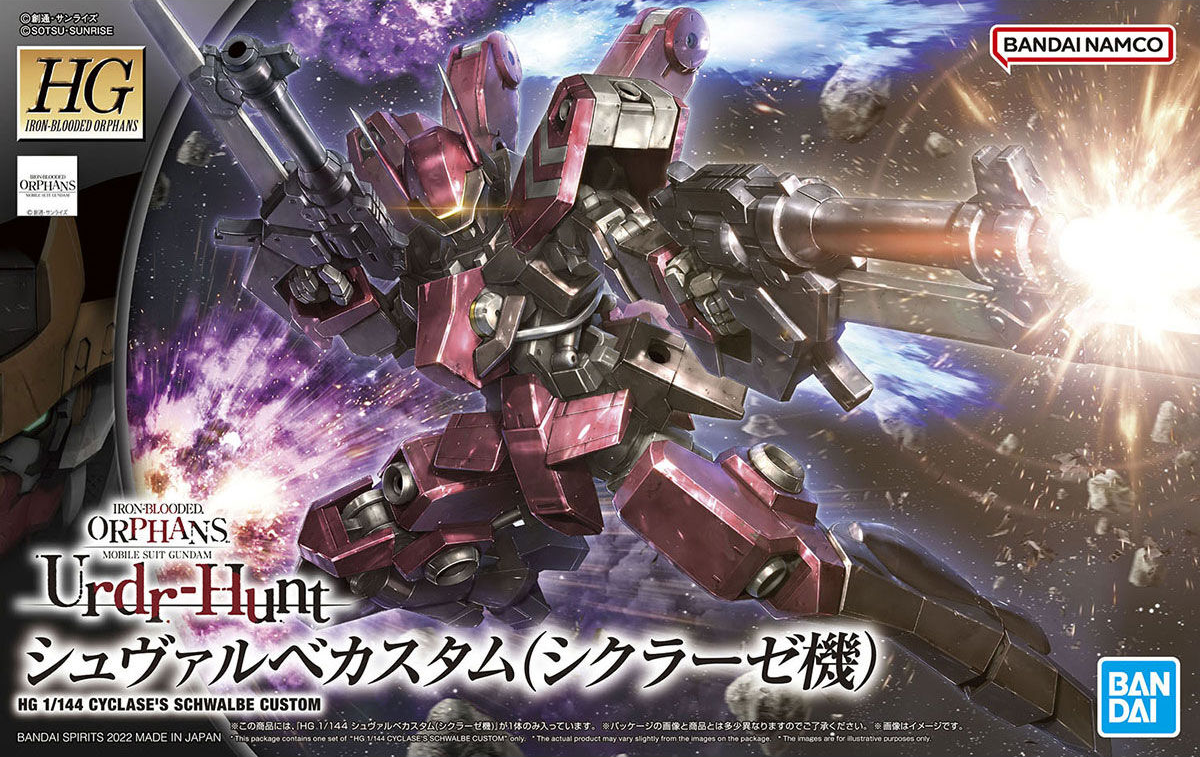 HG Cyclase's Schwalbe Custom