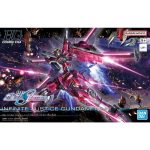 HG 1/144 Infinite Justice Gundam Type II